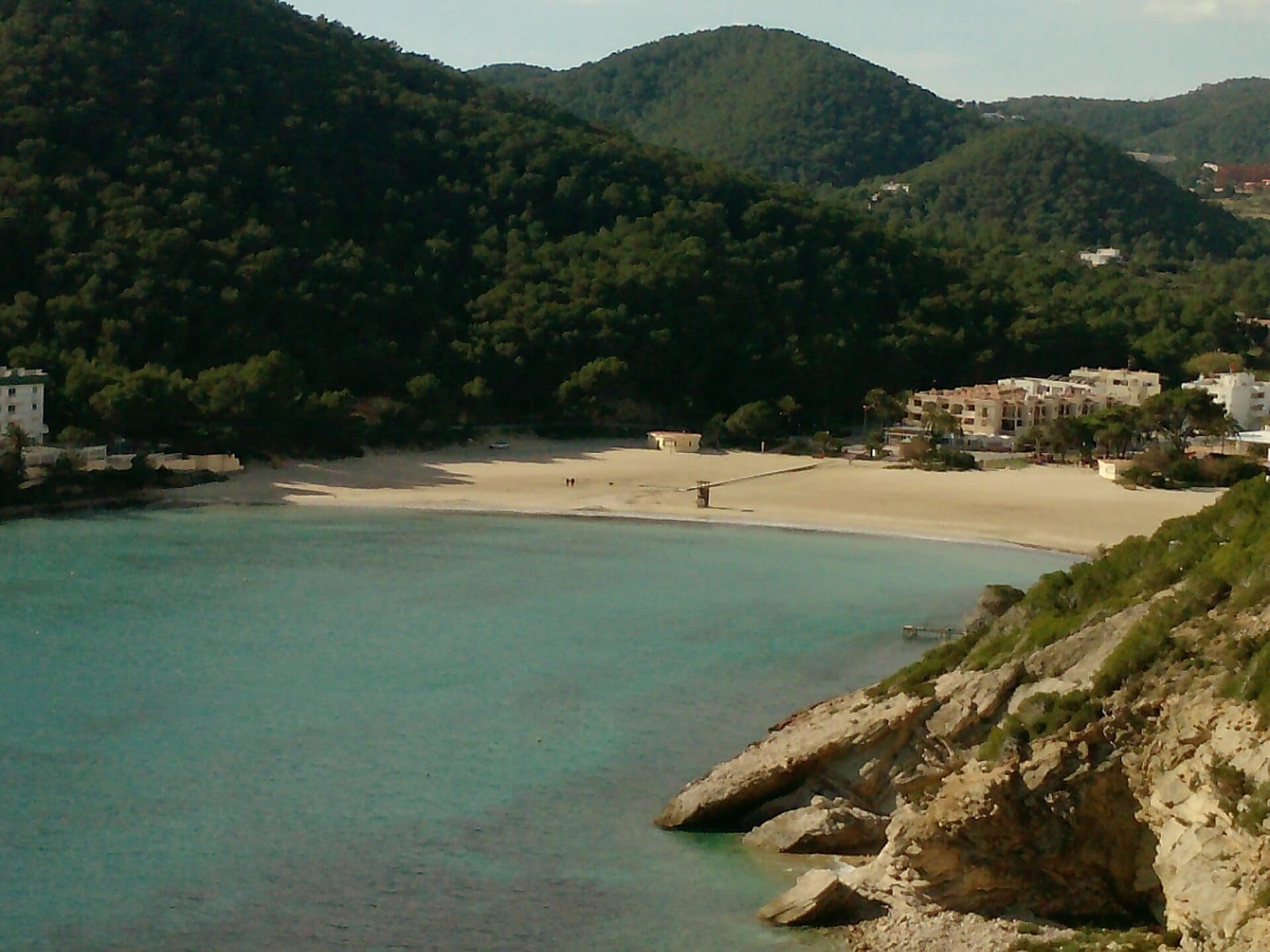 Cala Llonga Beach with turquoise water, sandy shoreline, surrounding pine-covered hills, and a few white buildings in the distance under daylight.