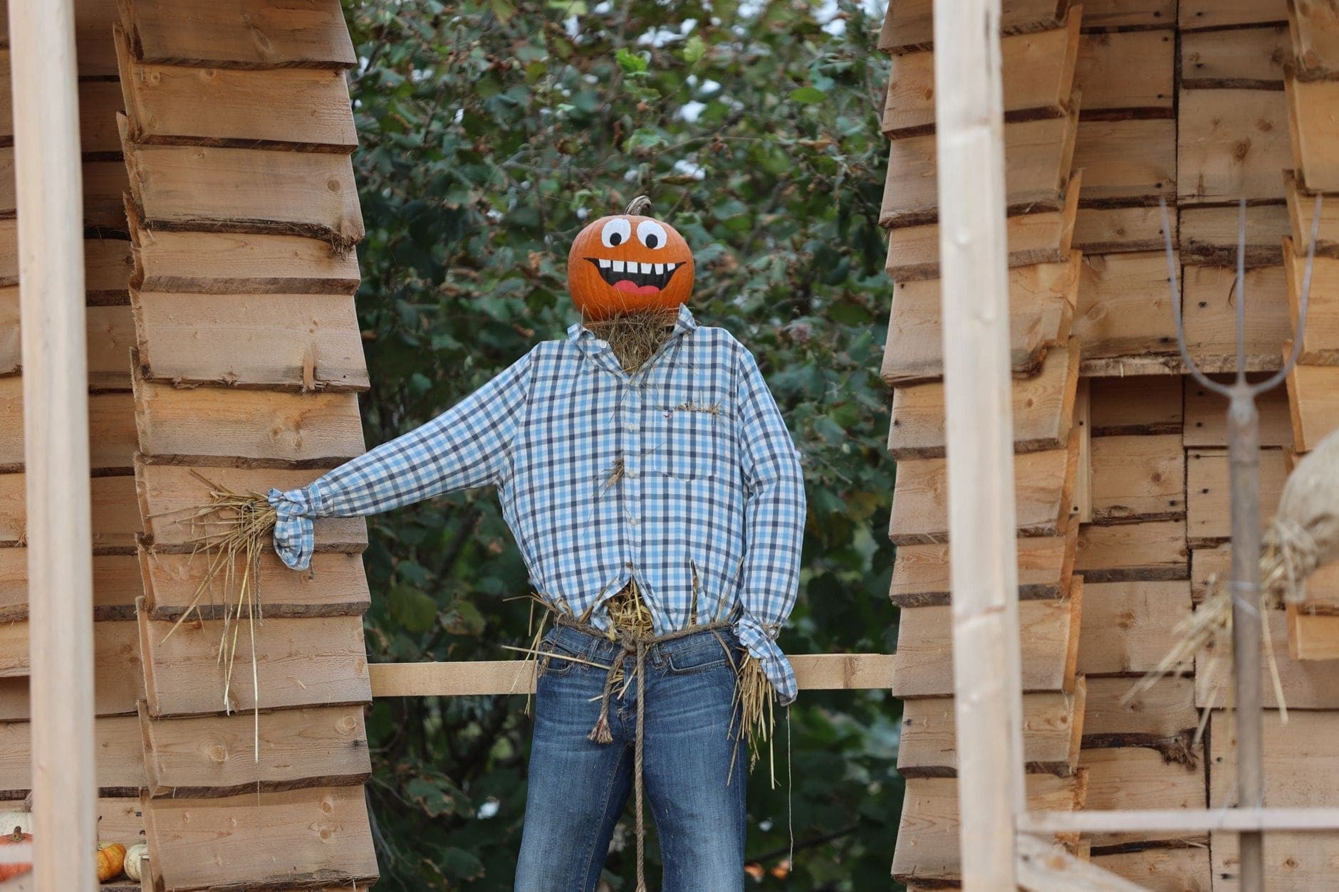 Espantapájaros con cabeza de jack-o'-lantern y camisa de cuadros entre decoraciones otoñales, evocando el tema de Halloween en Tivoli Gardens.