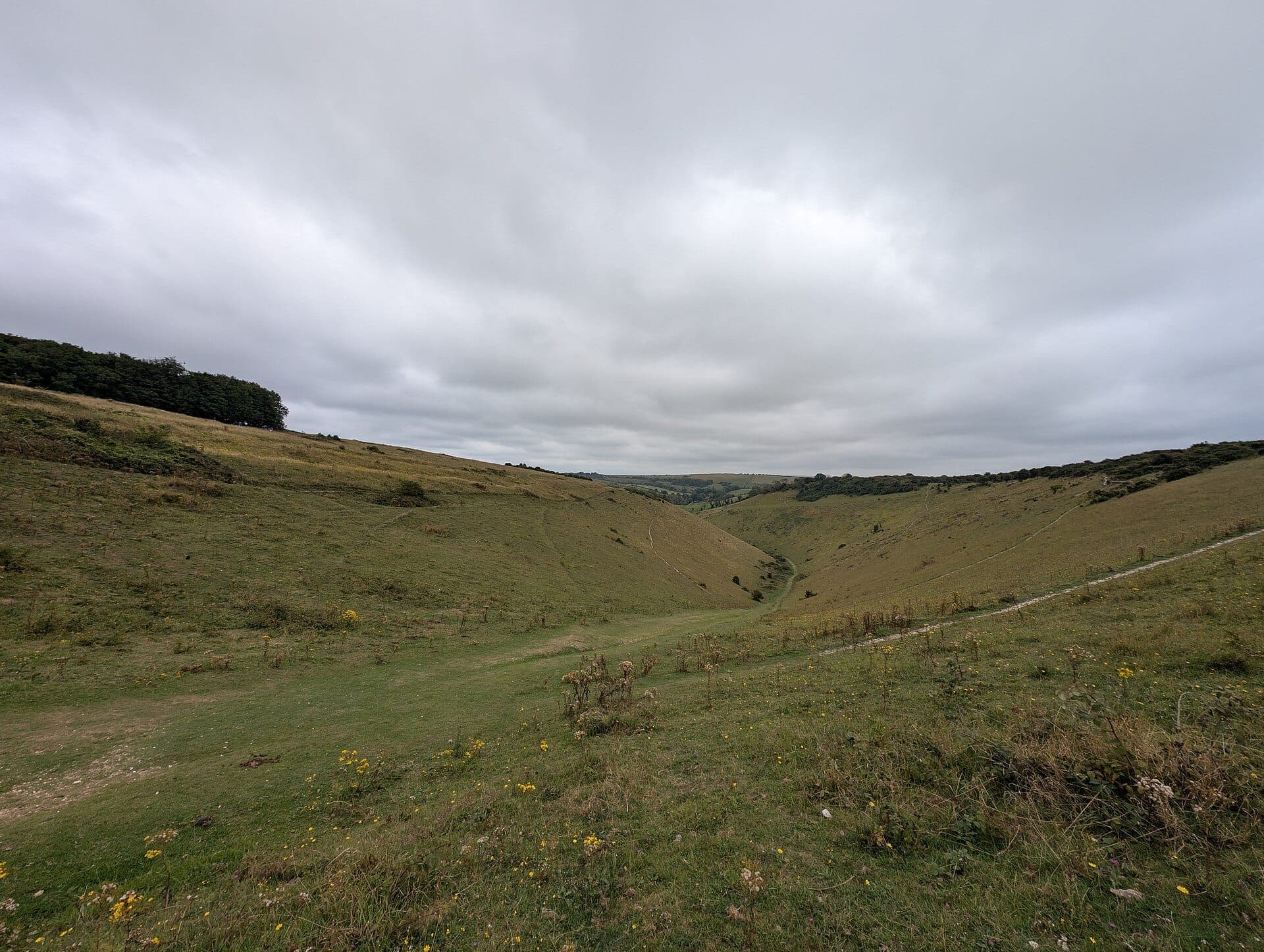 Tầm nhìn rộng của thung lũng Devil's Dyke gần Brighton, với những sườn dốc phủ cỏ, hoa dại, đường mòn và bầu trời nhiều mây trên South Downs.