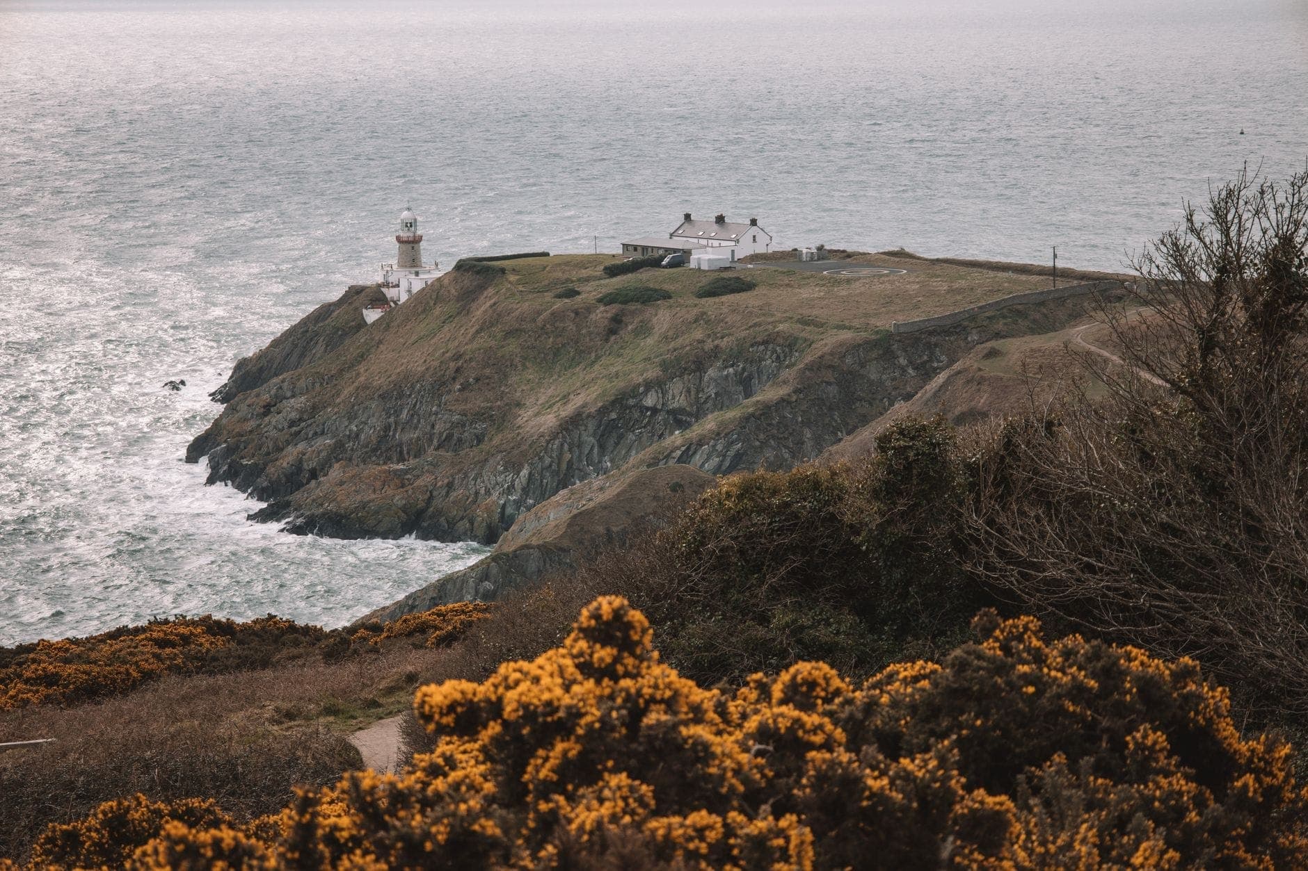 Spettacolare promontorio costiero con il Baily Lighthouse affacciato sul mare, scogliere frastagliate e un sentiero con cespugli di ginestrone in primo piano.