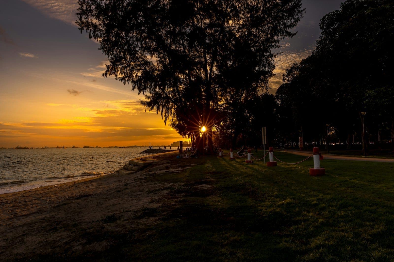Dramatic sunset at East Coast Park with golden sky, sandy beach, trees, and a grassy area by the sea, capturing the tranquil seaside atmosphere.