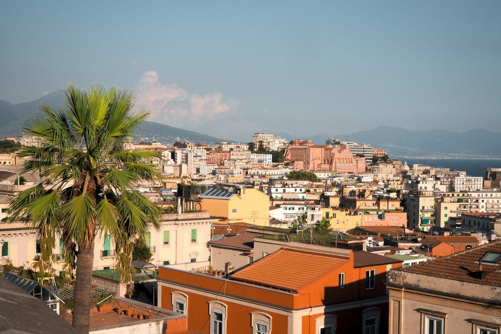 Toàn cảnh thành phố Naples với những tòa nhà đầy màu sắc, cây cọ ở tiền cảnh và dãy núi phía xa dưới bầu trời xanh trong.