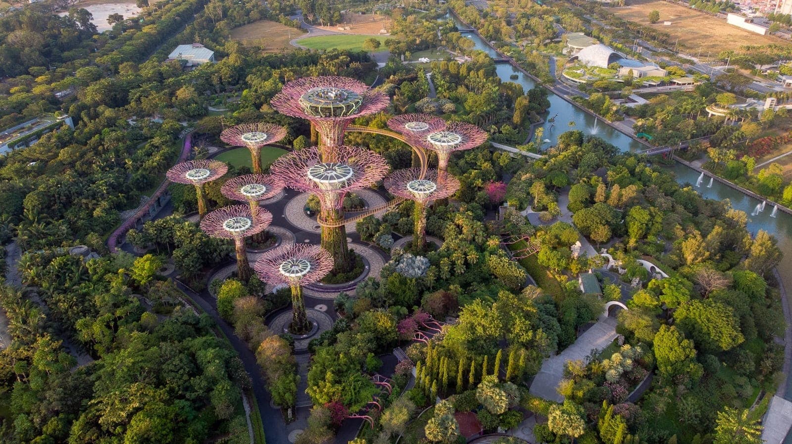 Aerial view of the iconic Supertree Grove surrounded by lush greenery at Gardens by the Bay in Singapore, with winding pathways below.