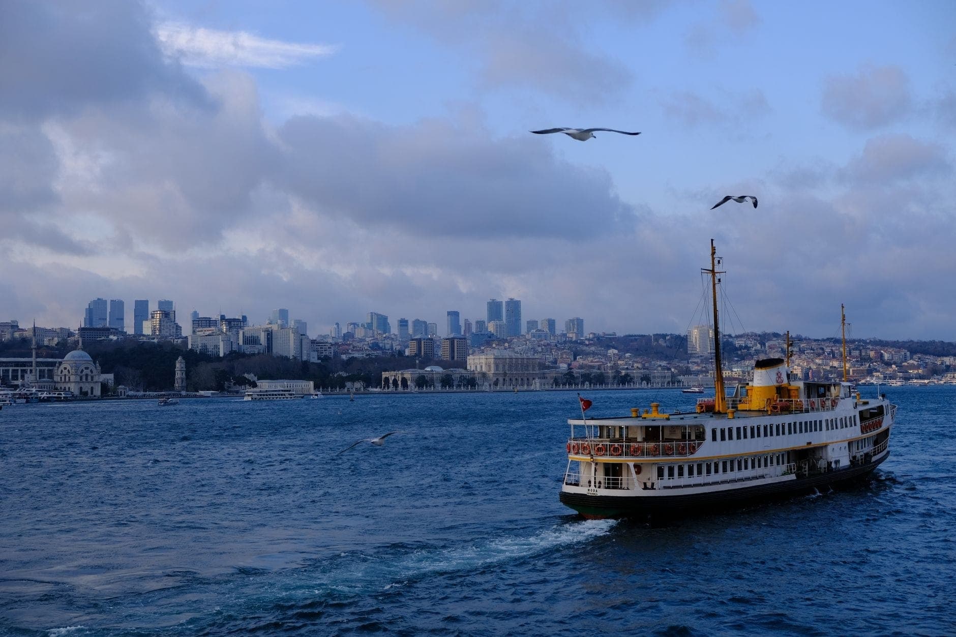 Balsa branca clássica de Istambul navegando no Bósforo, com o horizonte da cidade e gaivotas ao fundo sob um céu azul.