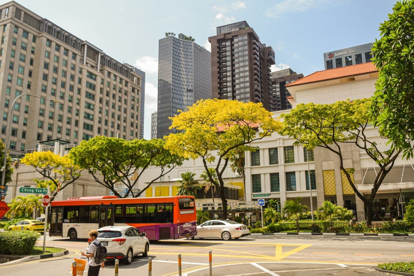 Singapore street scene with a public bus, cars, modern high-rise buildings, and lush trees in daylight, capturing urban transport in the city.