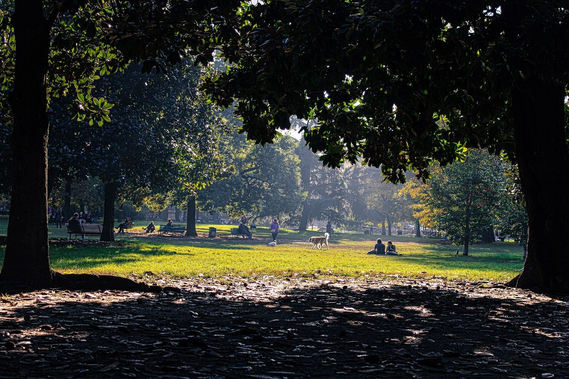 Large trees provide shade over grassy lawns where people relax and walk dogs in Giardini Pubblici Indro Montanelli, Milan’s oldest public park.