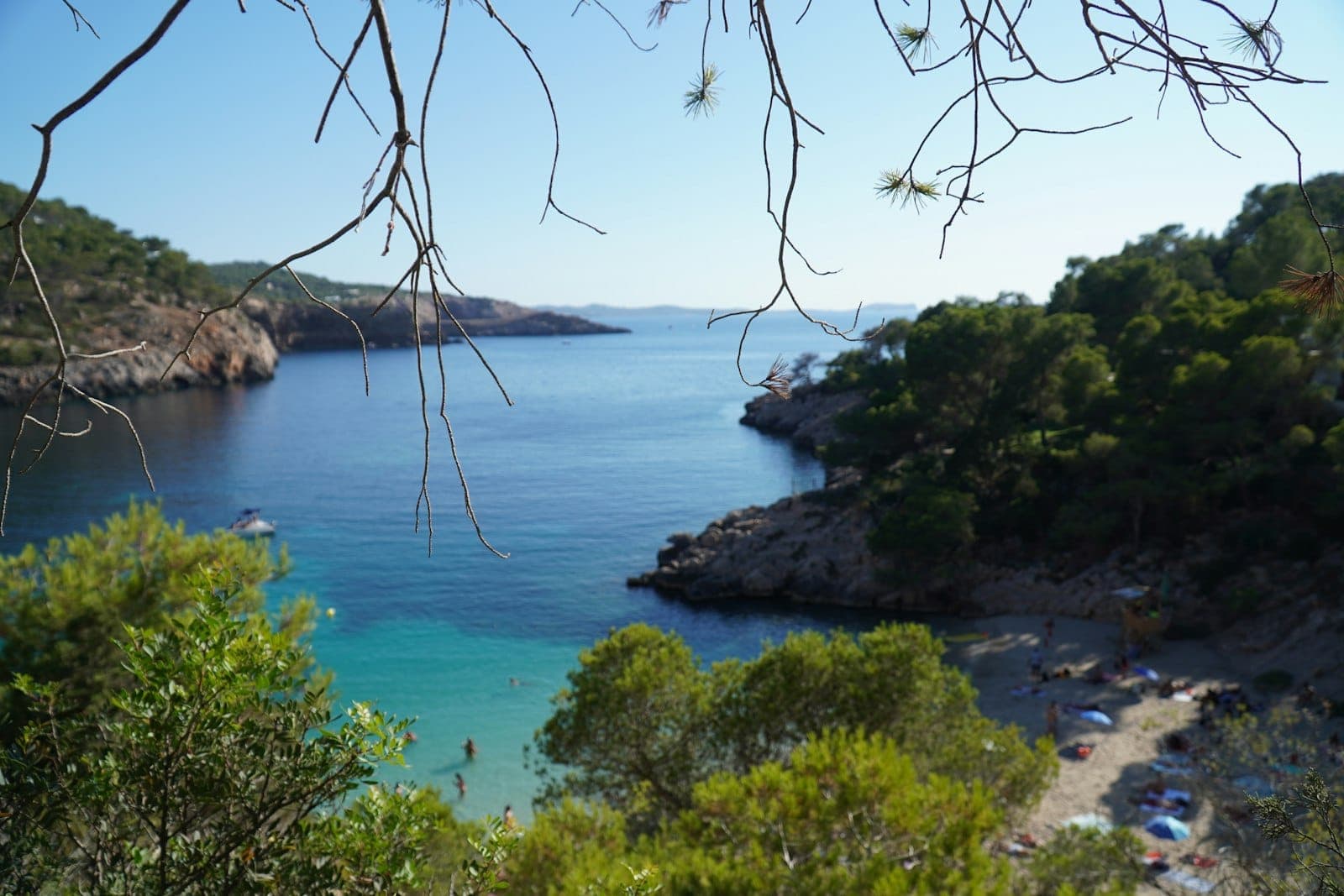 Secluded cove in Ibiza surrounded by trees and rocky cliffs, turquoise water and quiet beach visible through pine branches, evoking a hidden and tranquil atmosphere.