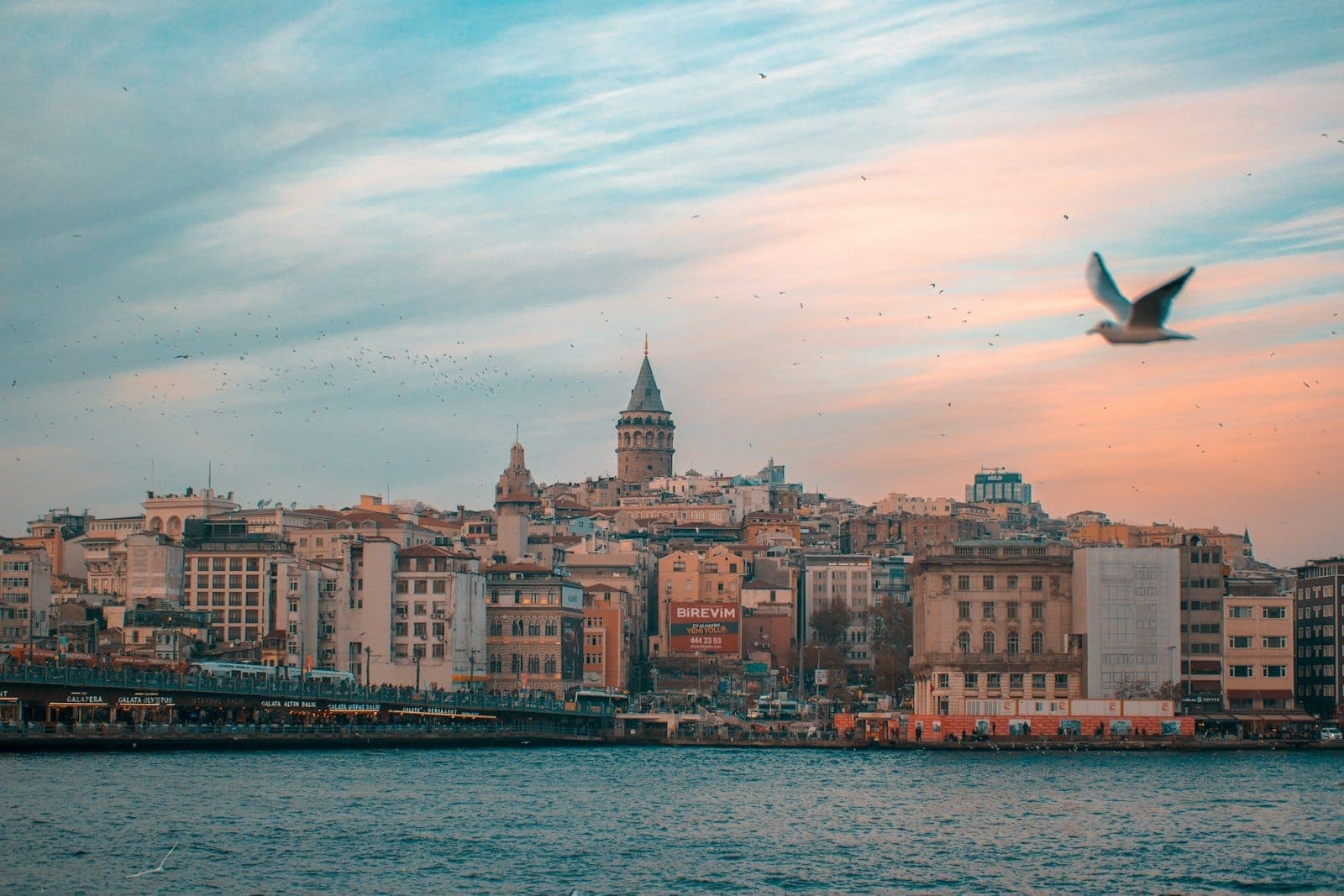 Blick auf die Istanbuler Skyline mit dem Galata-Turm, Uferhäusern und einer fliegenden Möwe unter einem farbenprächtigen Abendhimmel – städtisches Flair und Reiselust pur.