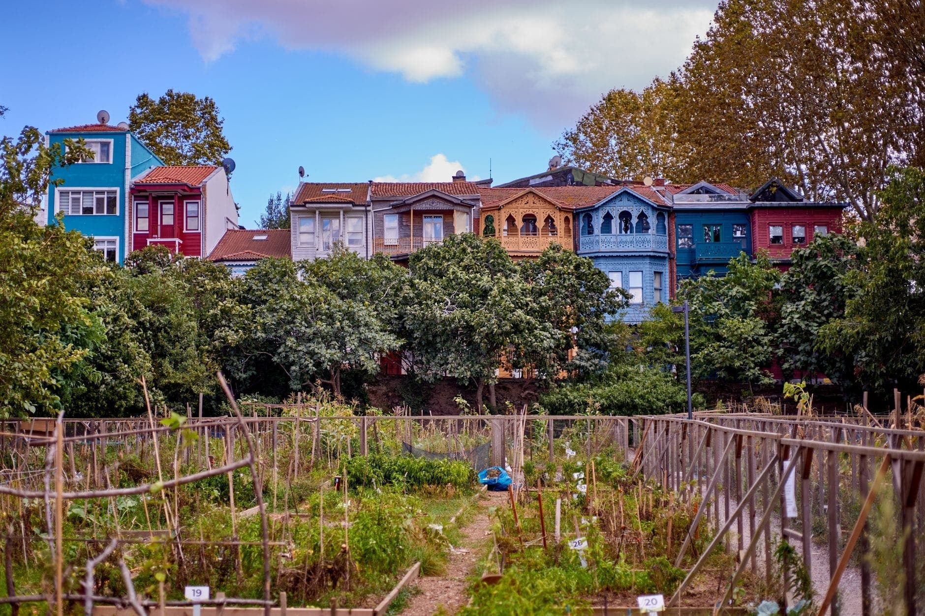 Bunte hölzerne Häuser aus dem 19. Jahrhundert und Gärten in Kuzguncuk, Istanbul, mit üppigem Grün und einem klaren blauen Himmel im Hintergrund.