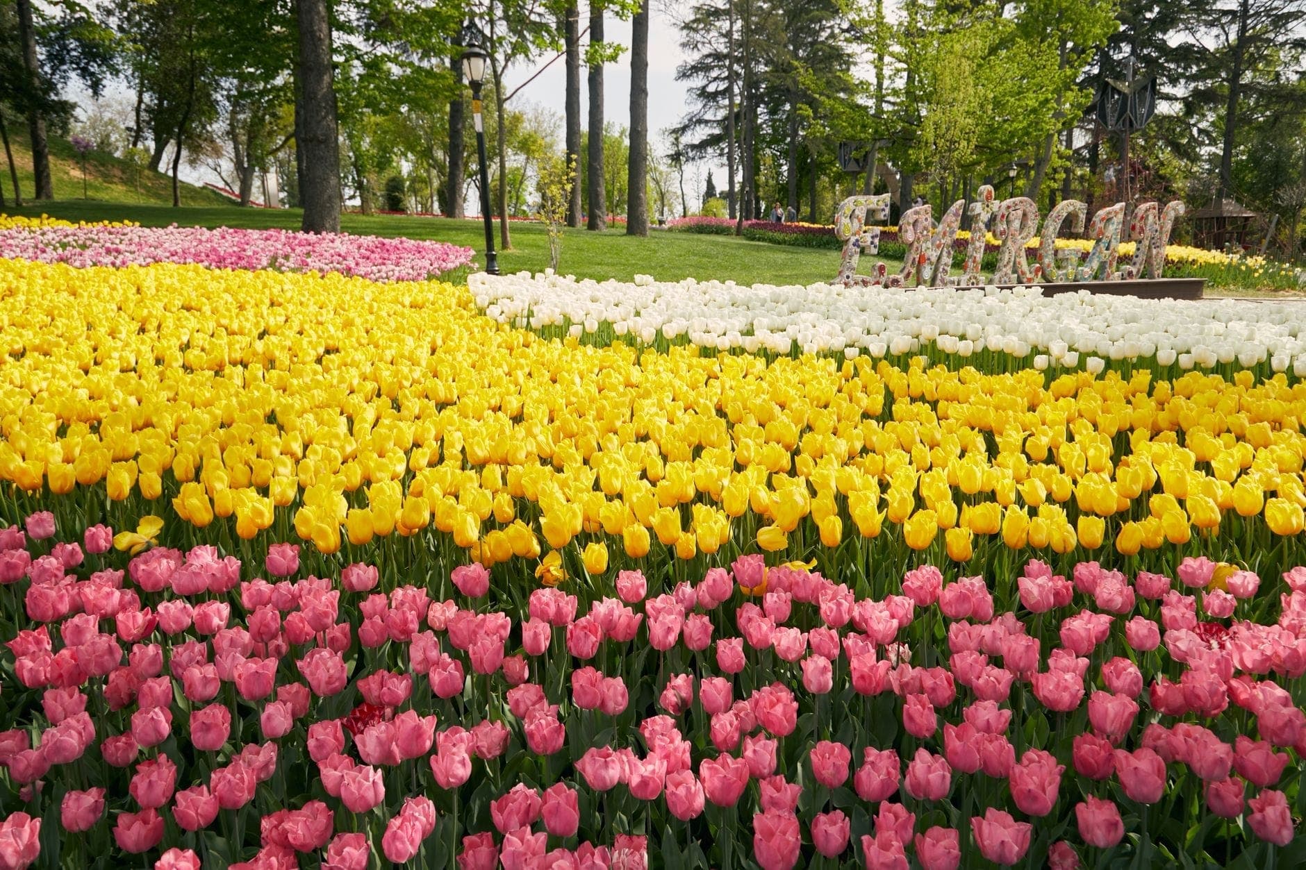 Wide view of Emirgan Park in Istanbul with vibrant beds of yellow, pink, and white tulips blooming under green trees in spring.