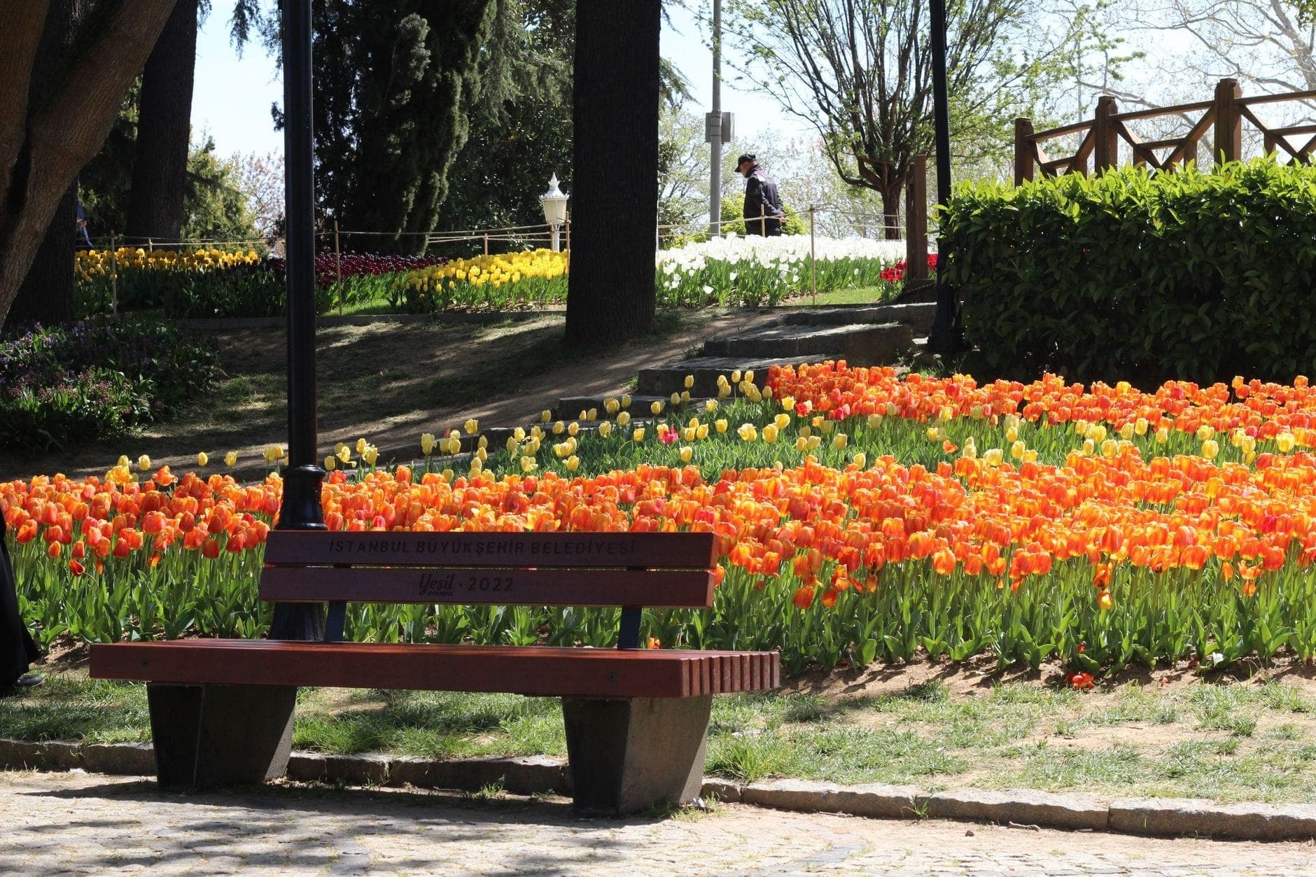 Banco de madera en un parque frente a un jardín de tulipanes naranjas y amarillos en flor bajo la luz del sol de primavera en Estambul