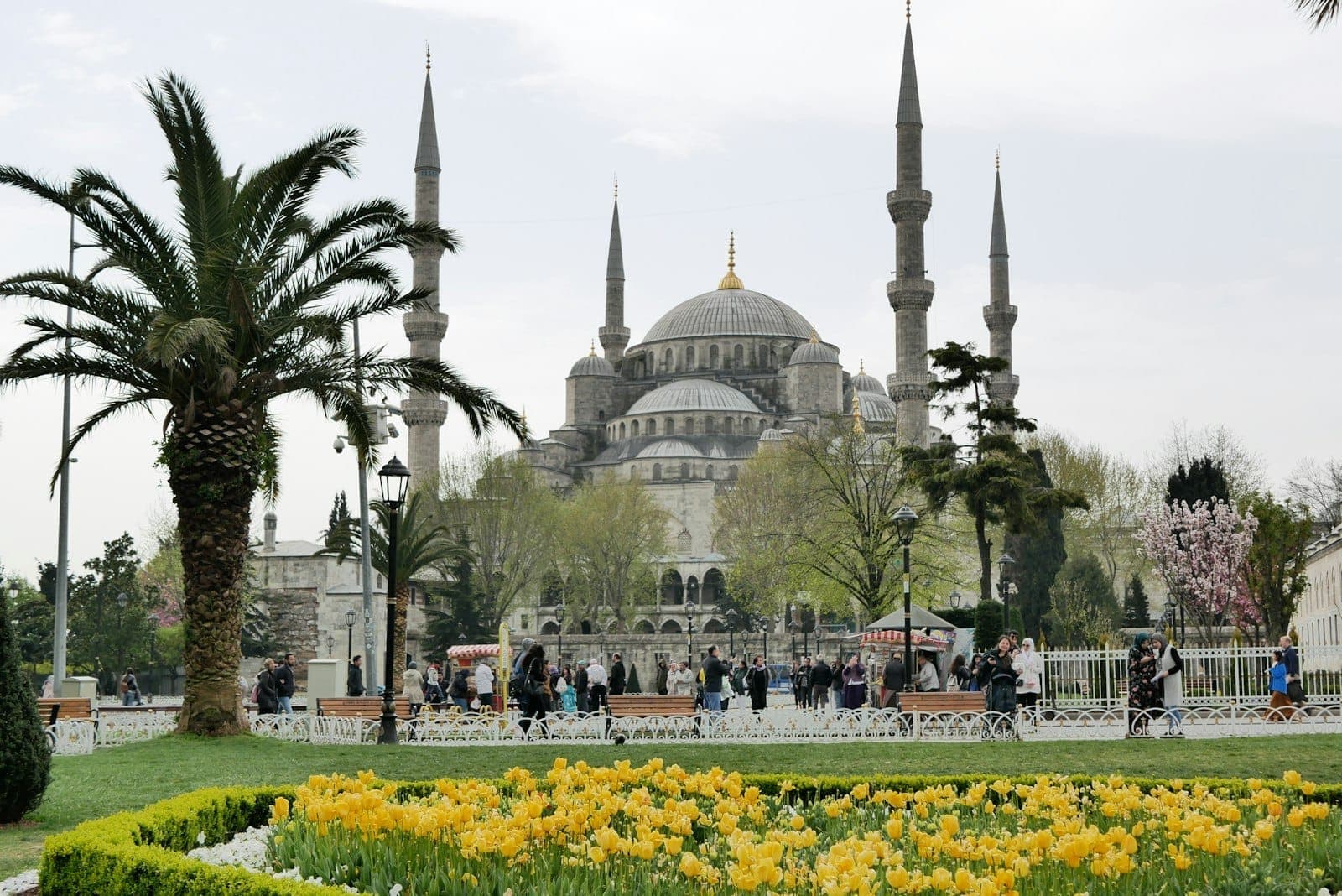 Gelbe Tulpen blühen vor der Blauen Moschee in Istanbul, Menschen schlendern durch den Park während des Frühlingsfestivals.