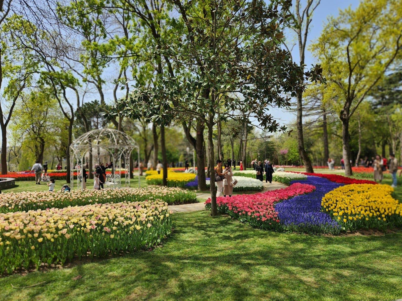 Grandes y coloridas exhibiciones de tulipanes en un parque de Estambul, con césped verde, árboles, senderos y personas disfrutando de un soleado día de primavera
