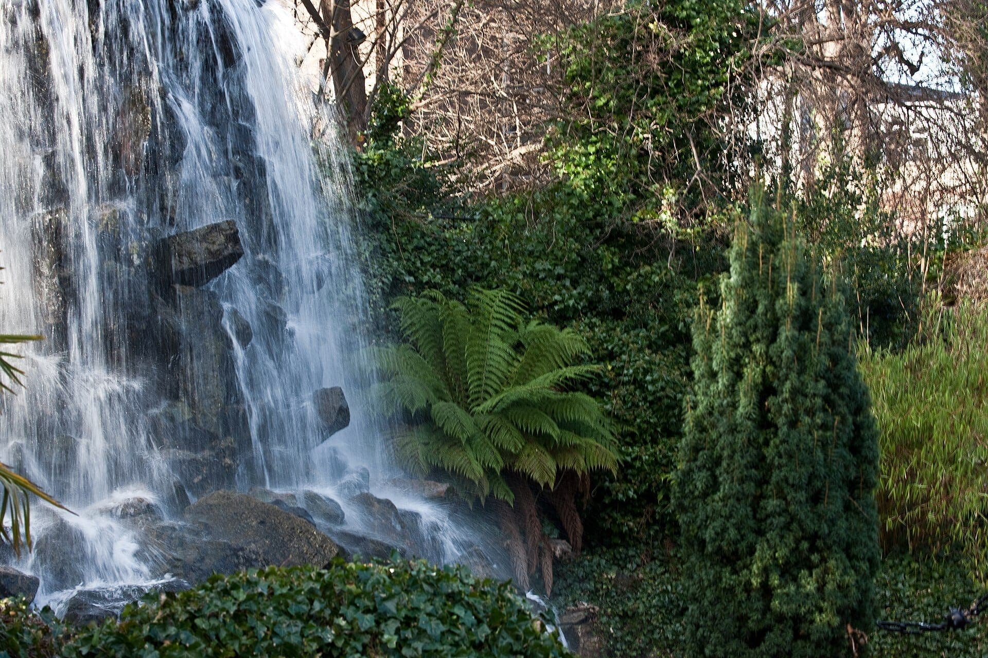 Une cascade de pierre naturelle se déverse dans une végétation luxuriante et des fougères dans les Iveagh Gardens, avec des arbres et des arbustes feuillus en arrière-plan.
