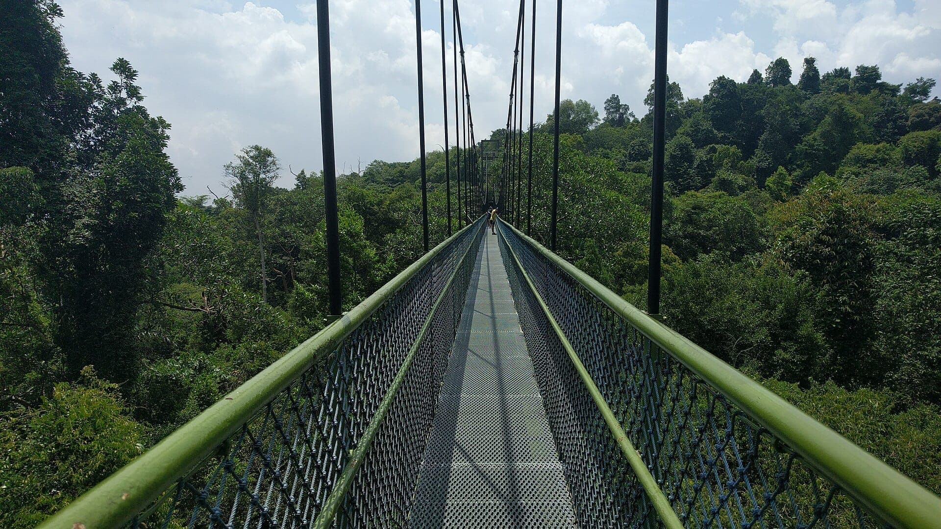 Suspension bridge of the MacRitchie Treetop Walk stretches above dense green rainforest canopy under a partly cloudy sky in Singapore.