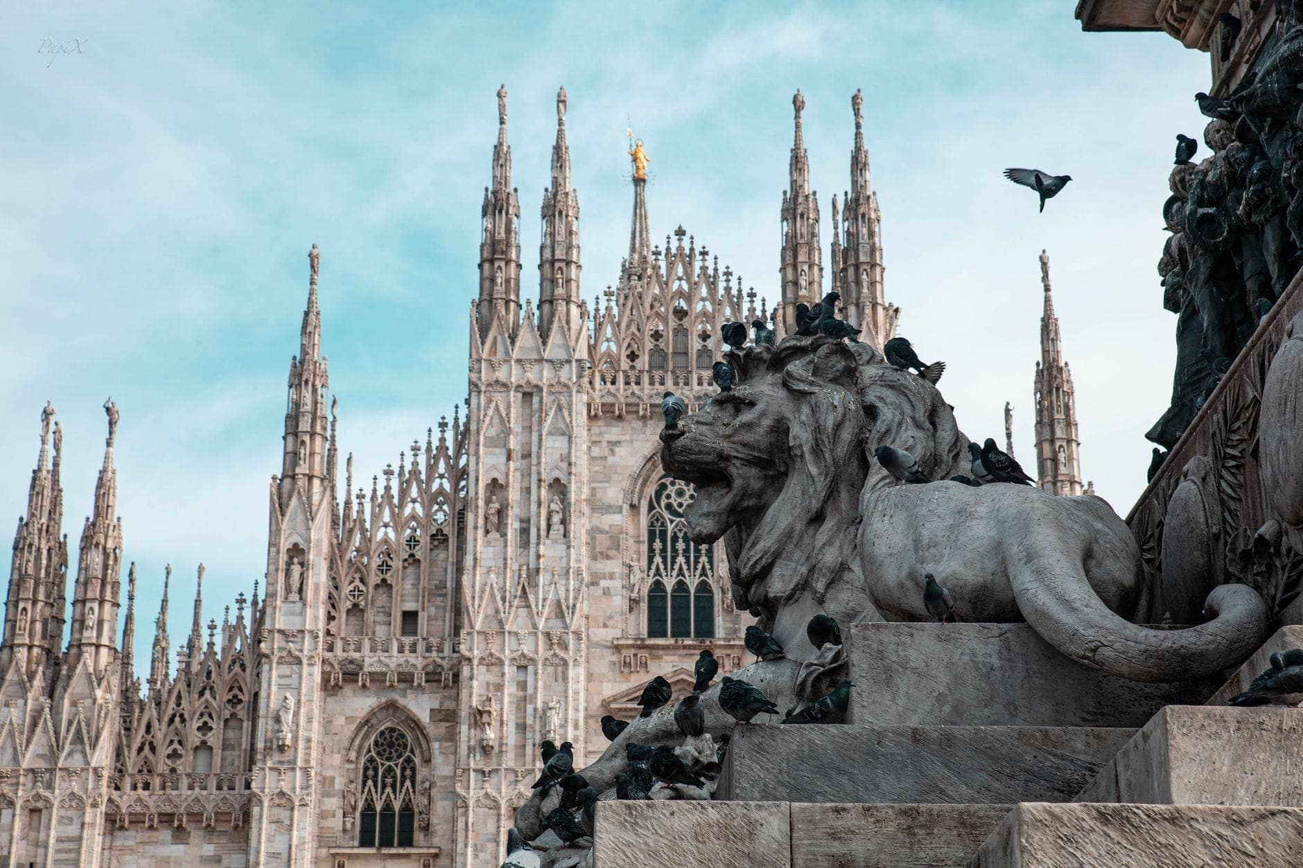 Blick auf die Fassade des Mailänder Doms mit gotischen Türmen und Statuen, einer steinernen Löwenskulptur und Tauben im Vordergrund unter blauem Himmel.