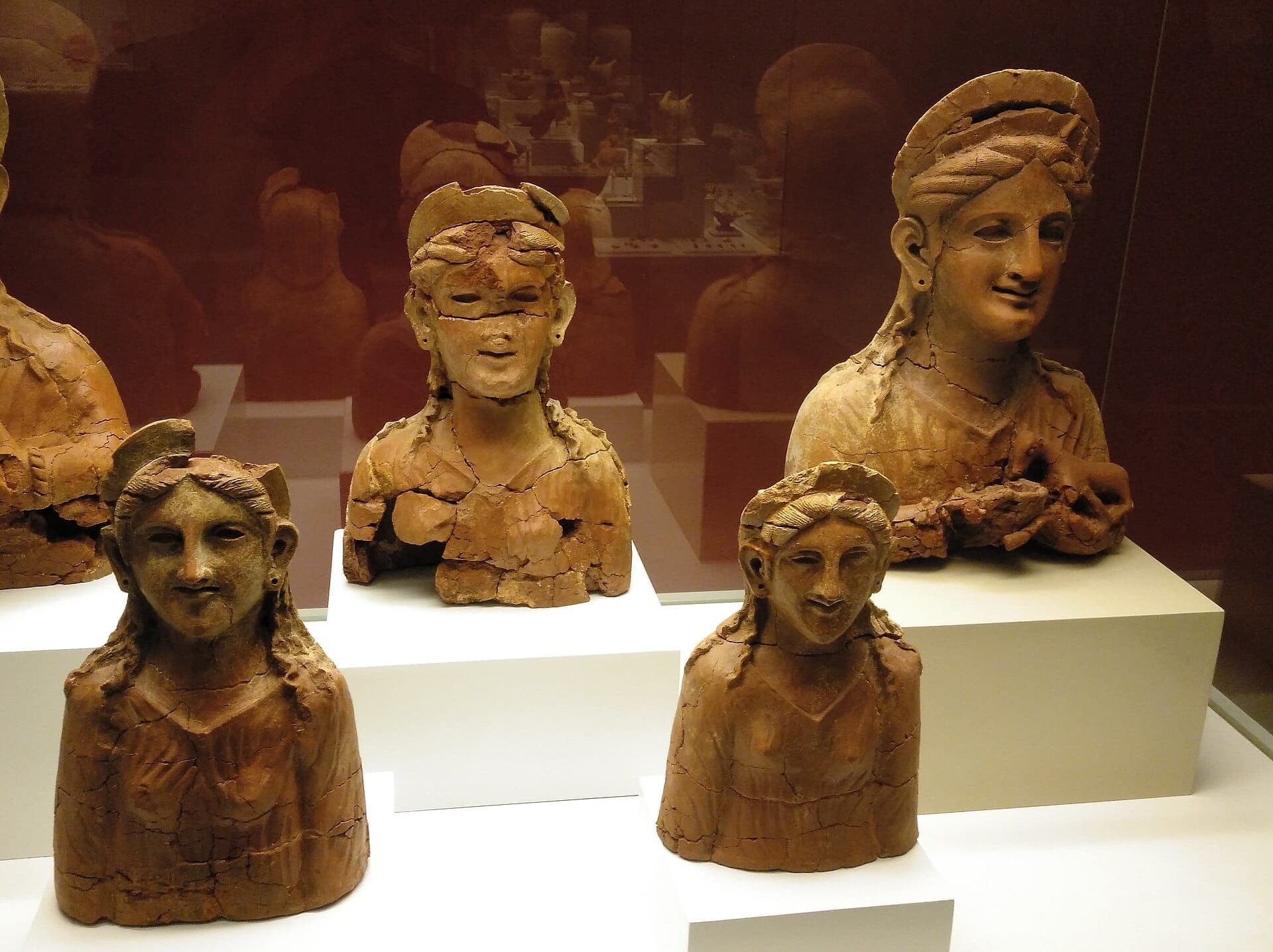Những tượng bán thân gốm đất nung cổ đại được trưng bày tại Museo de Cádiz, với các nét nứt vỡ trên nền nâu phản chiếu và bệ đỡ màu trắng.