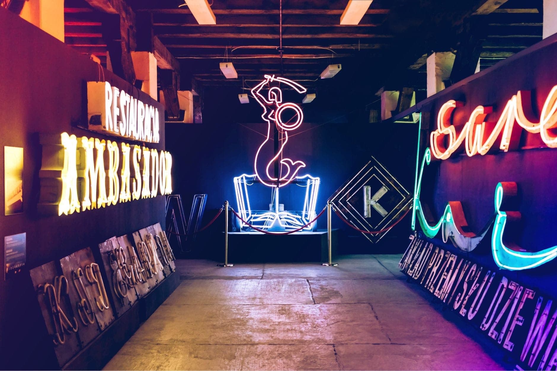 Innenraum des Neon Museums Warschau mit einer farbenfrohen Sammlung historischer polnischer Leuchtreklamen in verschiedenen Farben – ein einzigartiges Ambiente aus der Zeit des Kalten Krieges.
