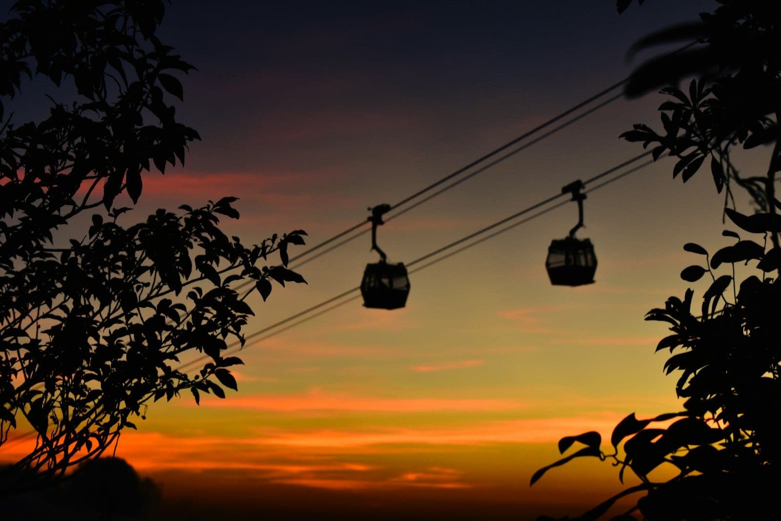 Cáp treo Ngong Ping 360 bay trên các đỉnh Lantau xanh tươi hướng đến Tượng Phật Thiên Đàn lúc hoàng hôn.