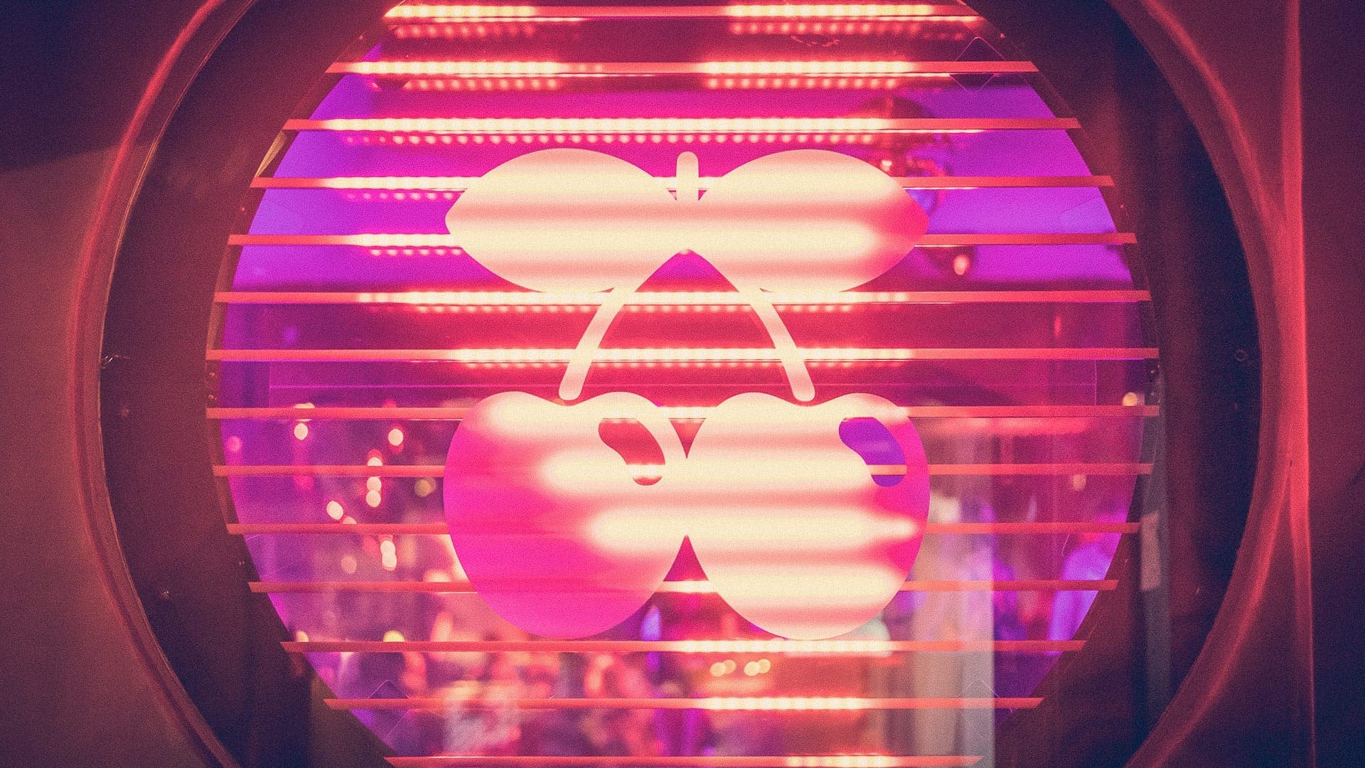 The iconic cherry logo of Pacha Ibiza illuminated by pink and purple club lights, viewed through horizontal blinds at the entrance.