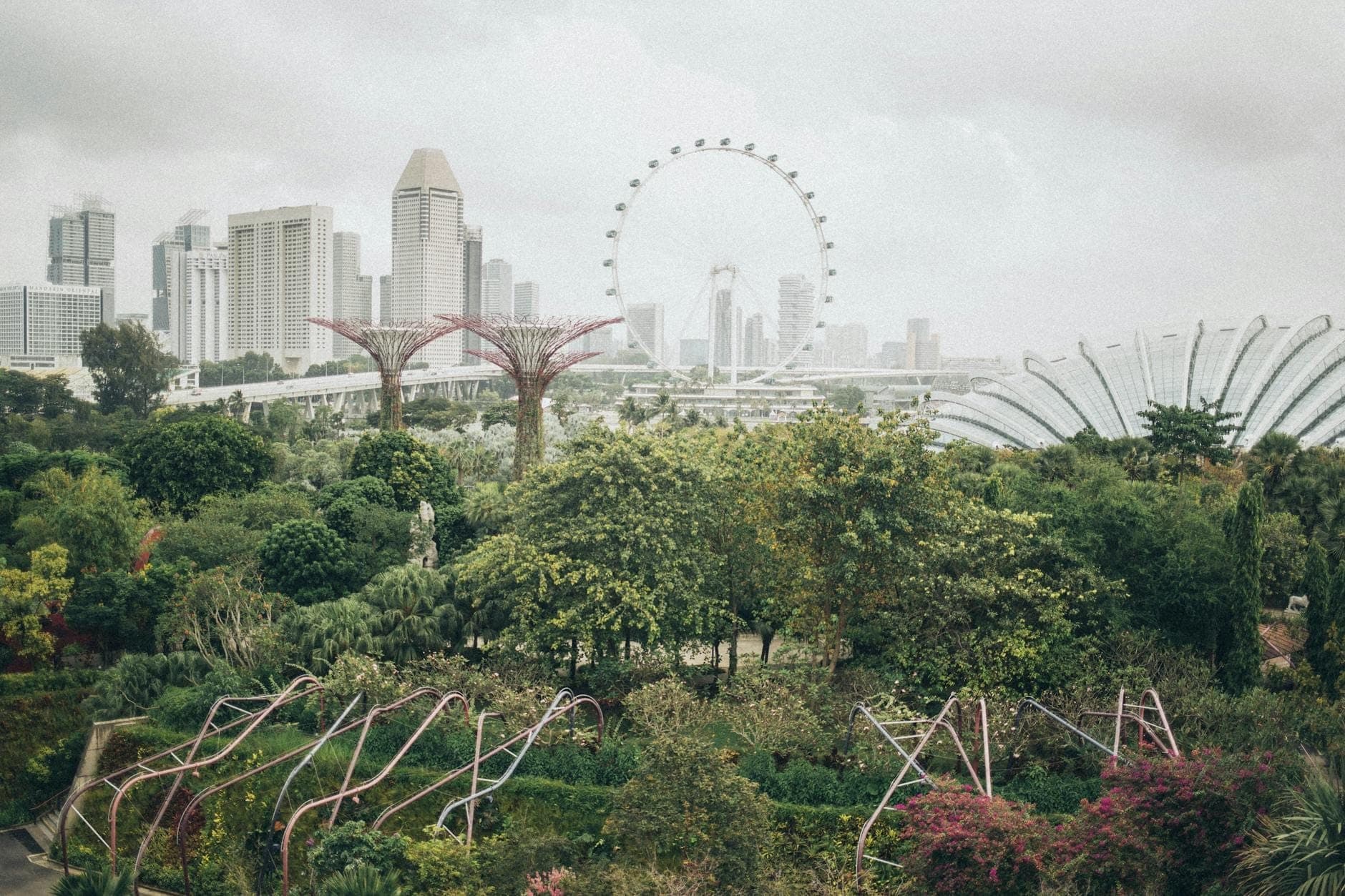 Lush, green landscape of the Singapore Botanic Gardens with city skyline, Singapore Flyer, and Supertree Grove visible in the background on a cloudy day.
