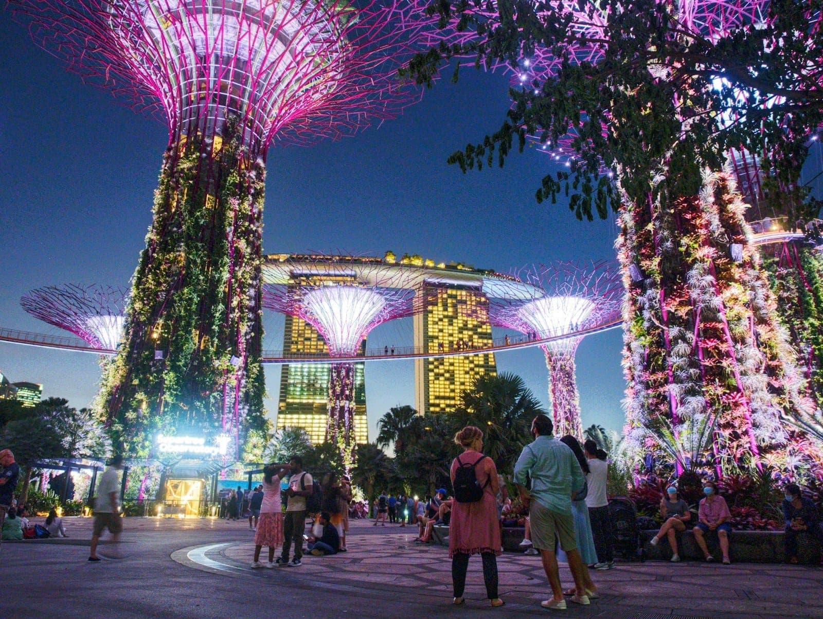 Families and children walk under the illuminated Supertree Grove at Gardens by the Bay in Singapore during the evening, with Marina Bay Sands in the background.