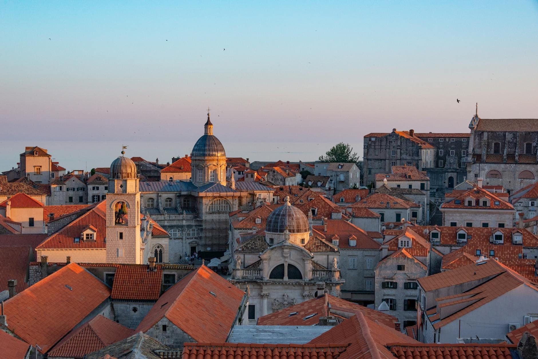 Toàn cảnh Phố cổ Dubrovnik với nhà thờ Thánh Blaise và mái vòm nổi bật giữa những mái ngói cam vào lúc bình minh hoặc hoàng hôn.
