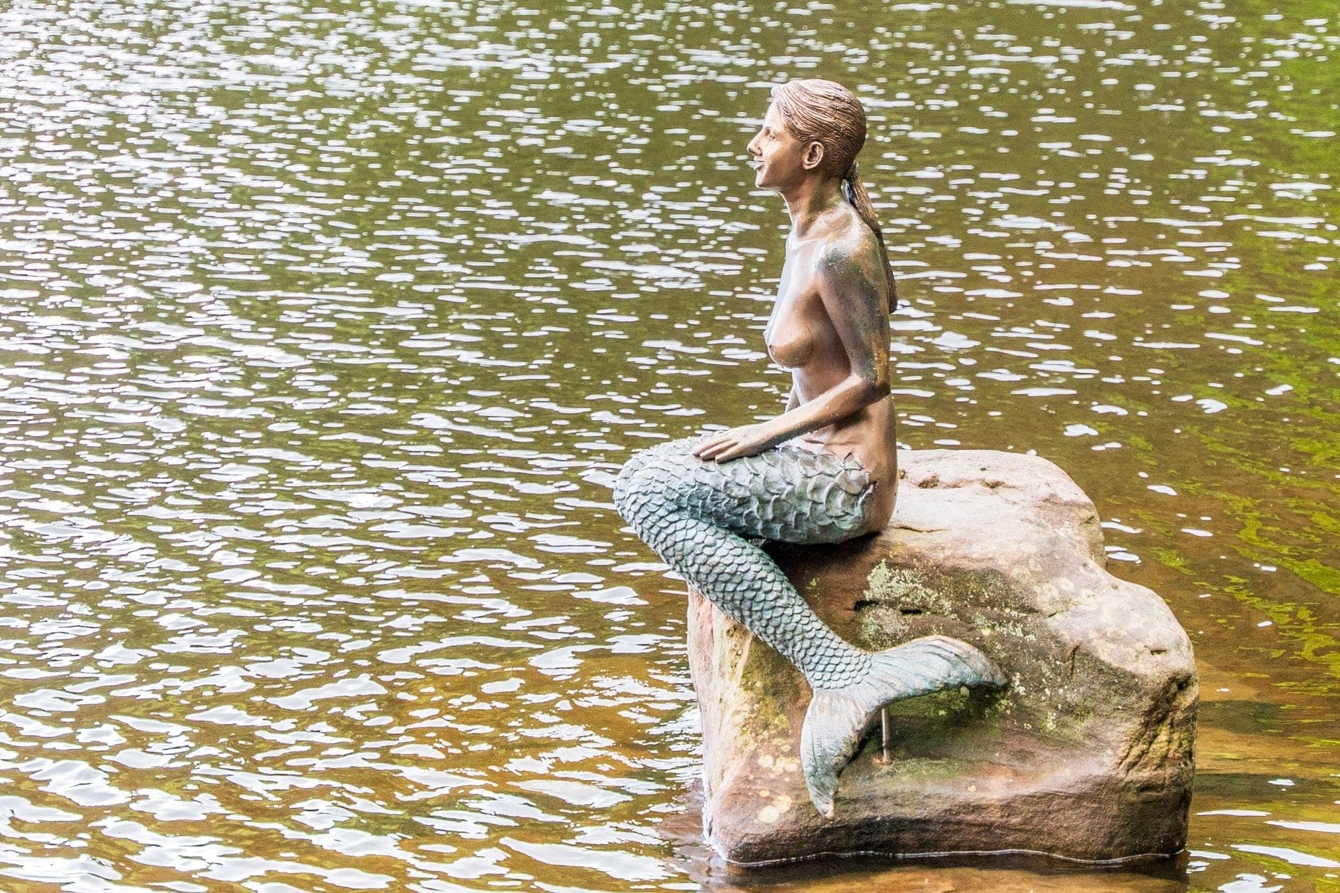 Bronzene Meerjungfrauenstatue auf einem Felsen am Wasser, ähnlich der berühmten Kleinen Meerjungfrau in Kopenhagen, mit sanft gekräuseltem Wasser ringsum.