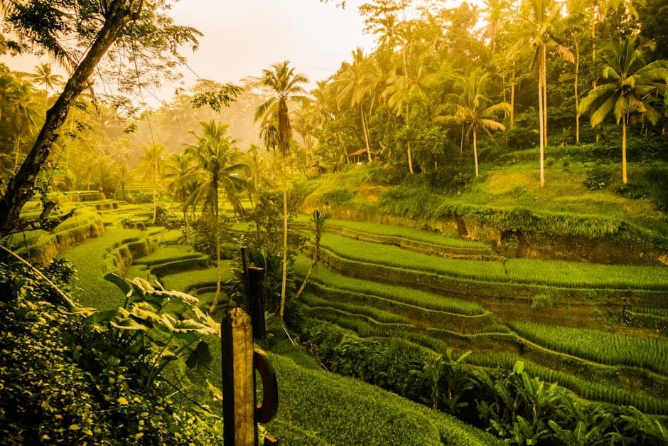 Masaganang tanawin ng kagubatan malapit sa Ubud, Bali