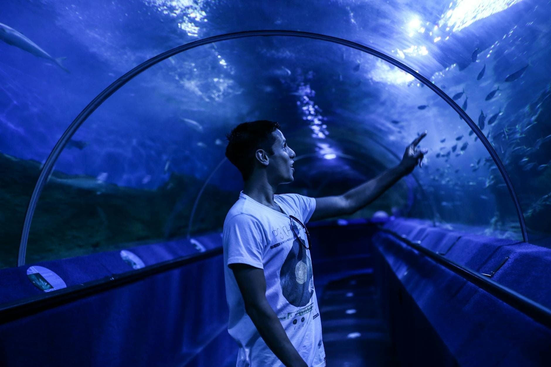 A visitor points excitedly at marine life inside a long, blue-lit acrylic glass tunnel in a large indoor aquarium.