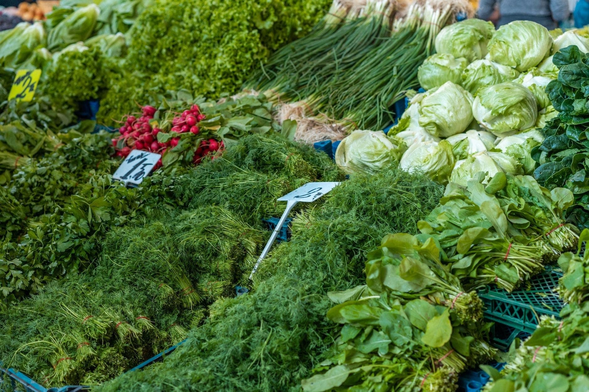 Eine lebhafte Auslage frischer grüner Kräuter, Radieschen und Kohlköpfe an einem Marktstand im Freien, der saisonales Gemüse in Warschau präsentiert.