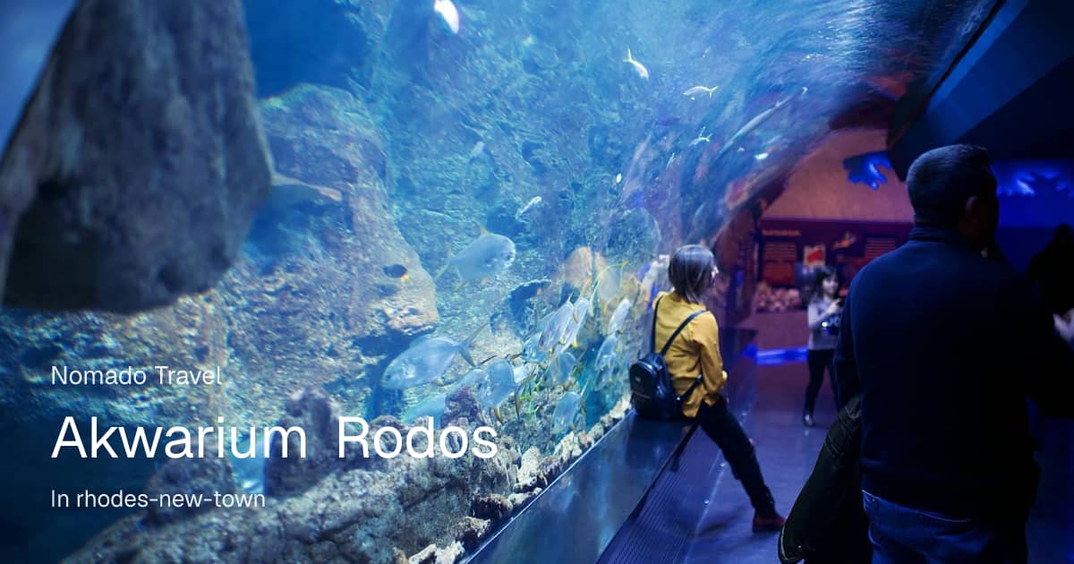 Akwarium Rodos – co warto wiedzieć przed wizytą | Nomado Travel